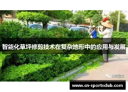 智能化草坪修剪技术在复杂地形中的应用与发展