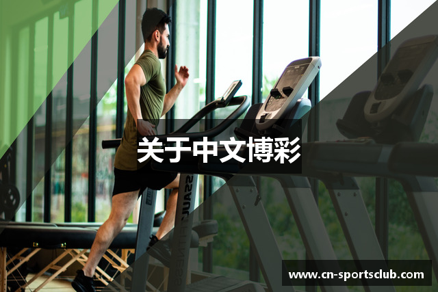 关于中文博彩